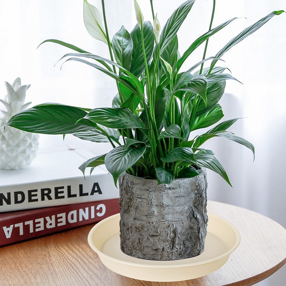 Bleuhome 14 inch plant saucer beige glossy finish view