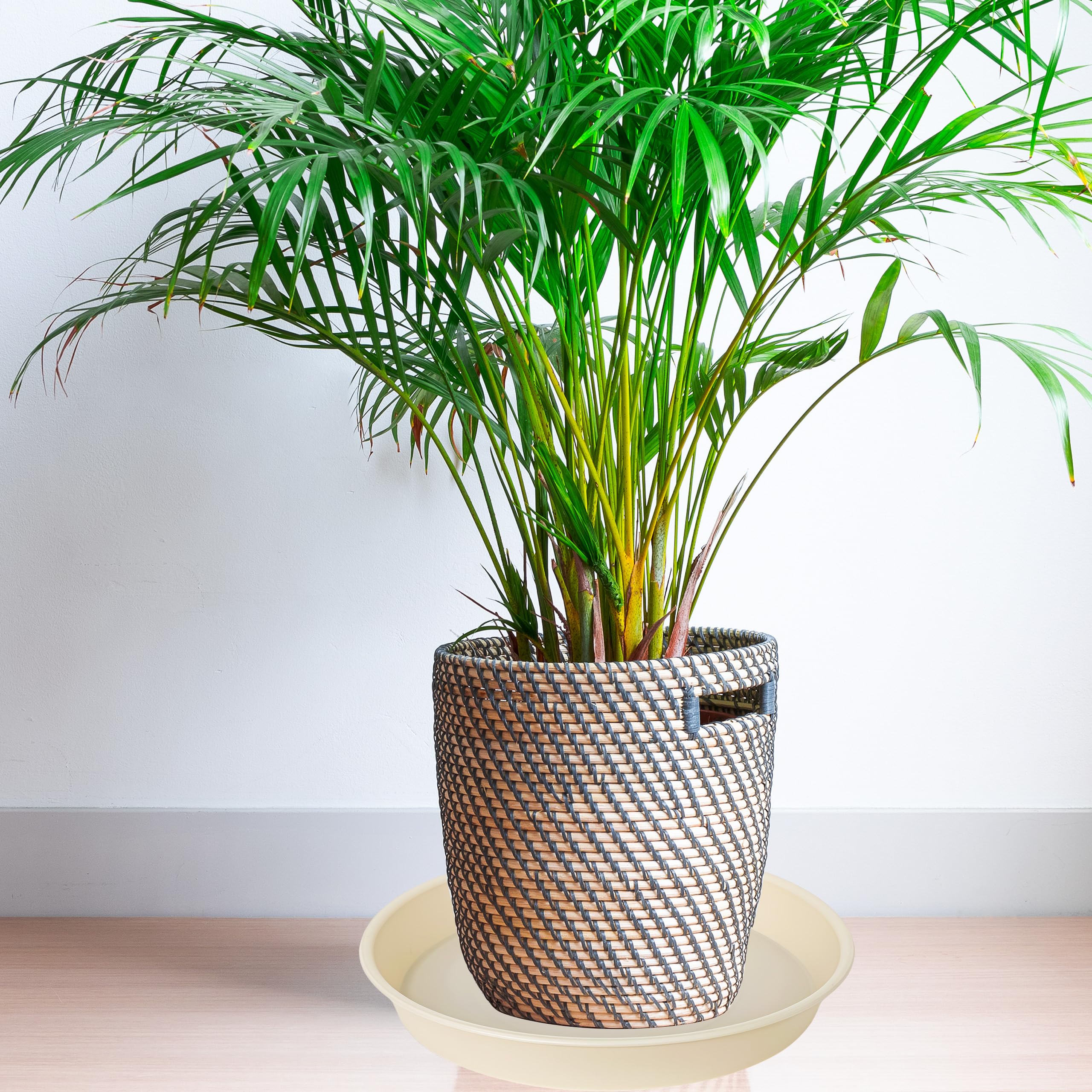 Bleuhome 14 inch plant saucer in use under a pot