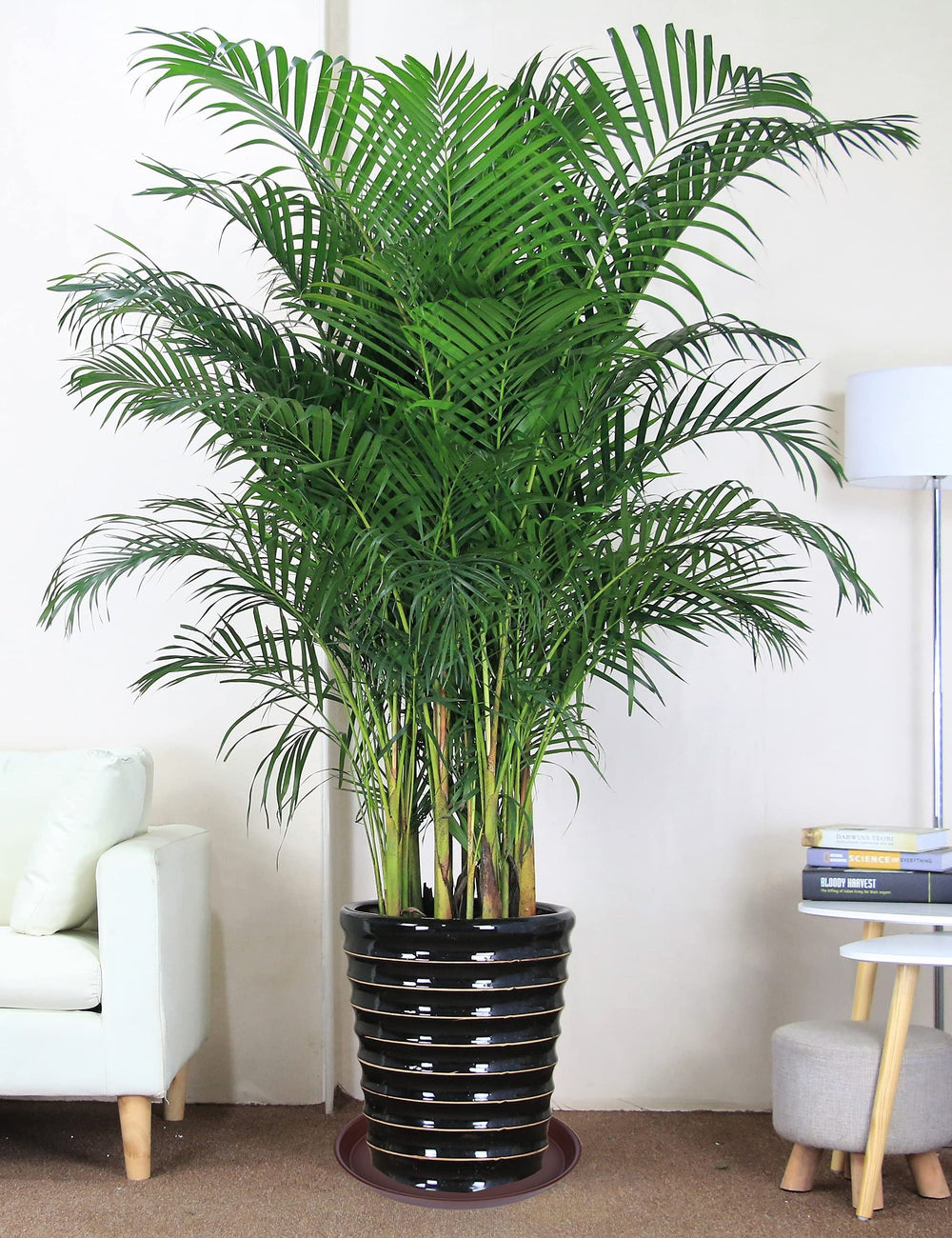Bleuhome 16-inch plant saucer stacked for storage