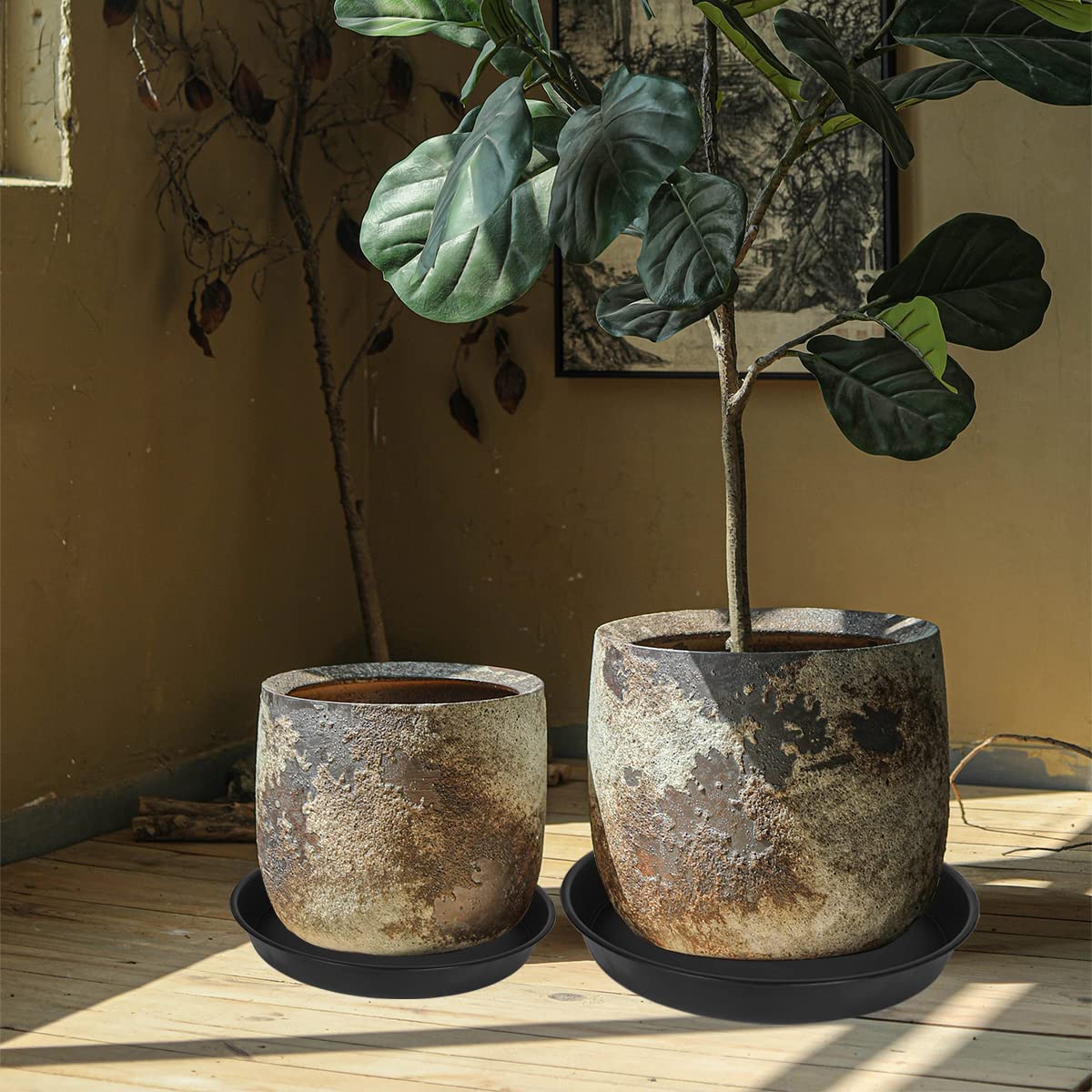Bleuhome 19-inch plant saucer in use with flower pot