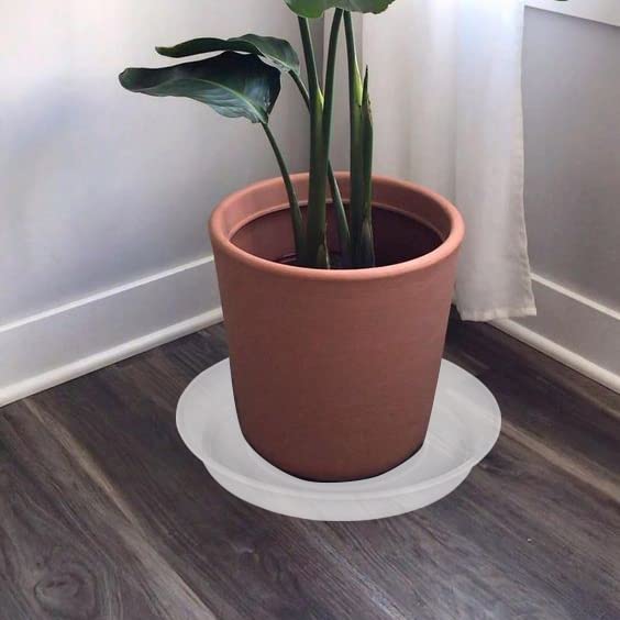 Bleuhome 4 inch plant saucer clear side view