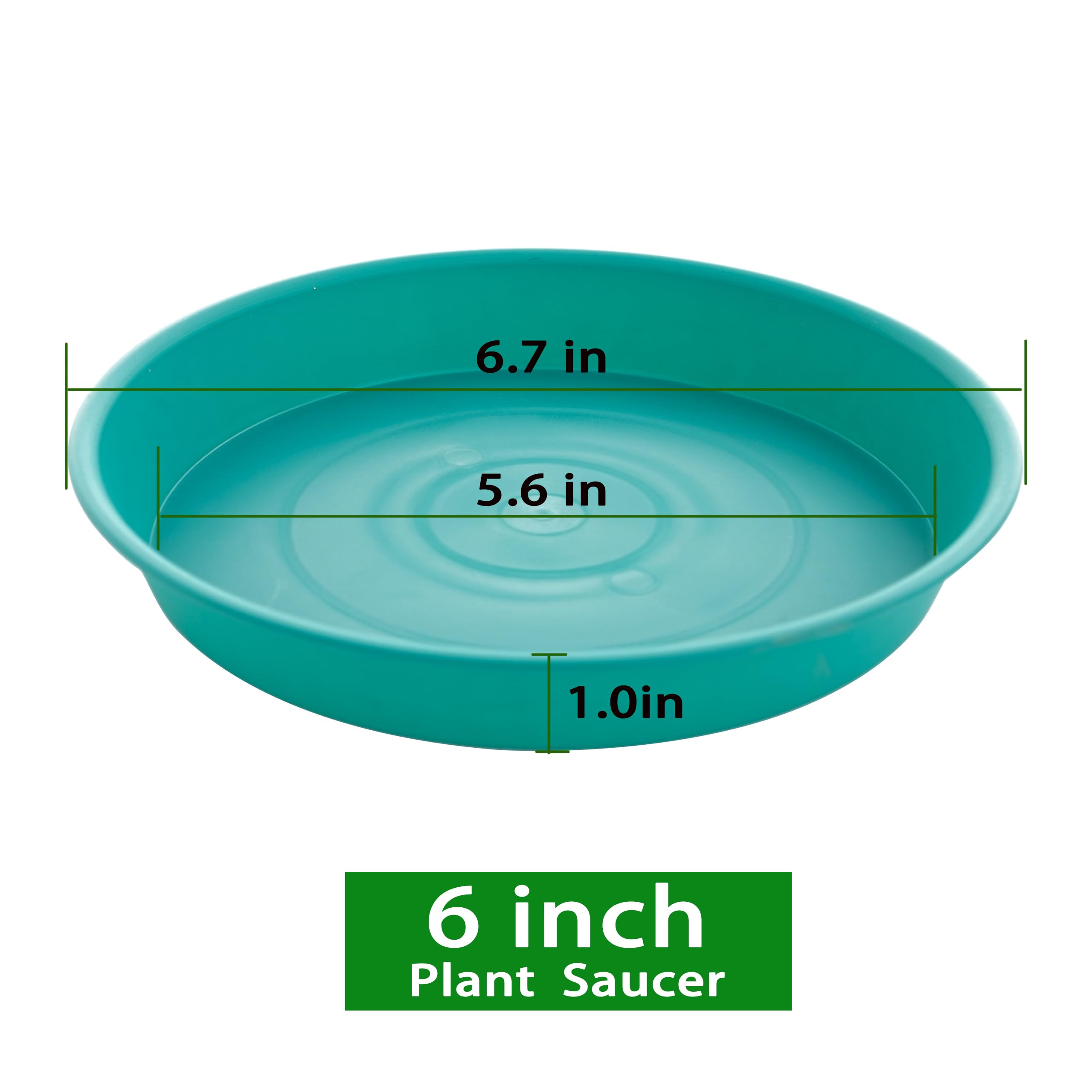 Bleuhome 6 inch plant saucer showing drainage capabilities