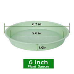 Bleuhome 6 inch plant saucer side view showing depth