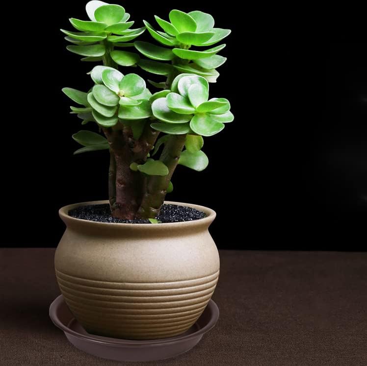 Bleuhome 6 inch plant saucer stacked with other saucers