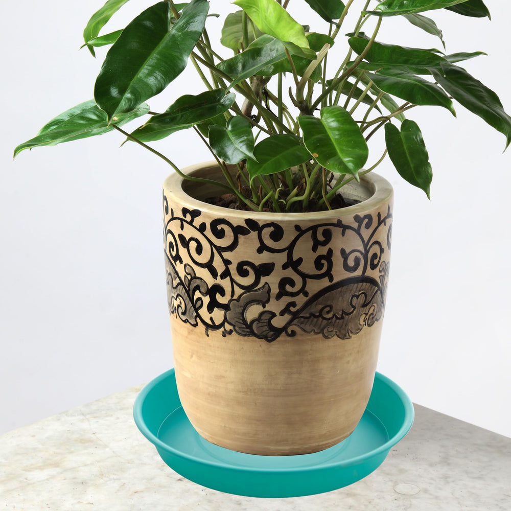 Bleuhome 6 inch plant saucer with seeds for birds
