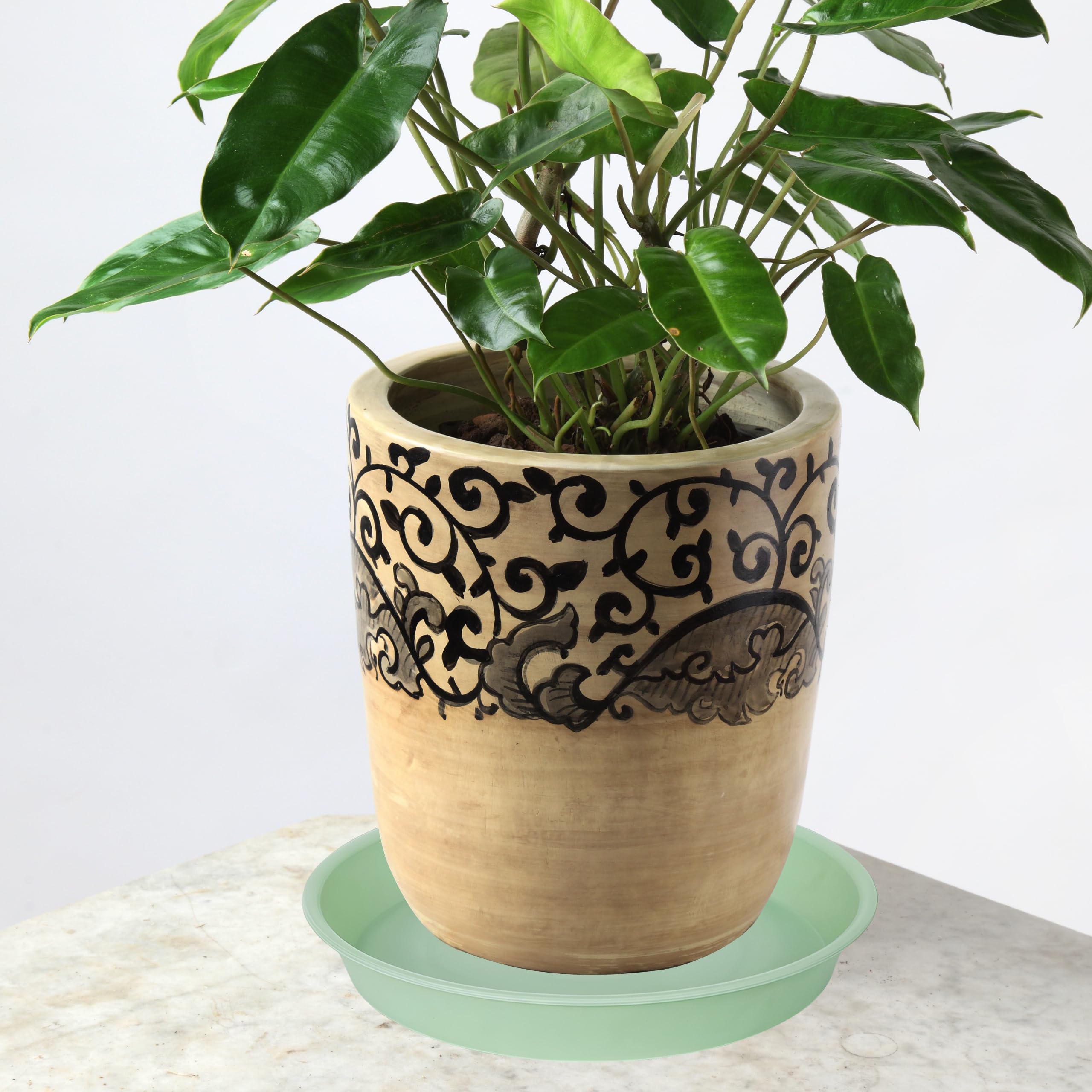 Bleuhome 6 pack of plant saucers in light green