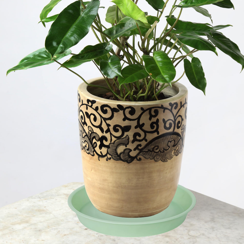 Bleuhome 6 pack of plant saucers in light green