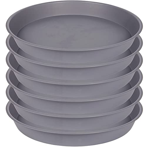 Bleuhome 6 pack plant saucer 4.5 inch cement gray front view