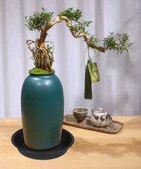 Bleuhome 8-inch plant saucer black with bird bath