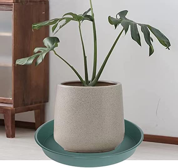 Bleuhome bird bath bowl used as bird feeder