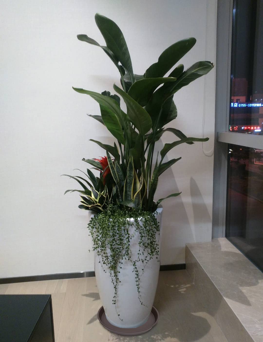 Bleuhome heavy-duty plant saucers side view