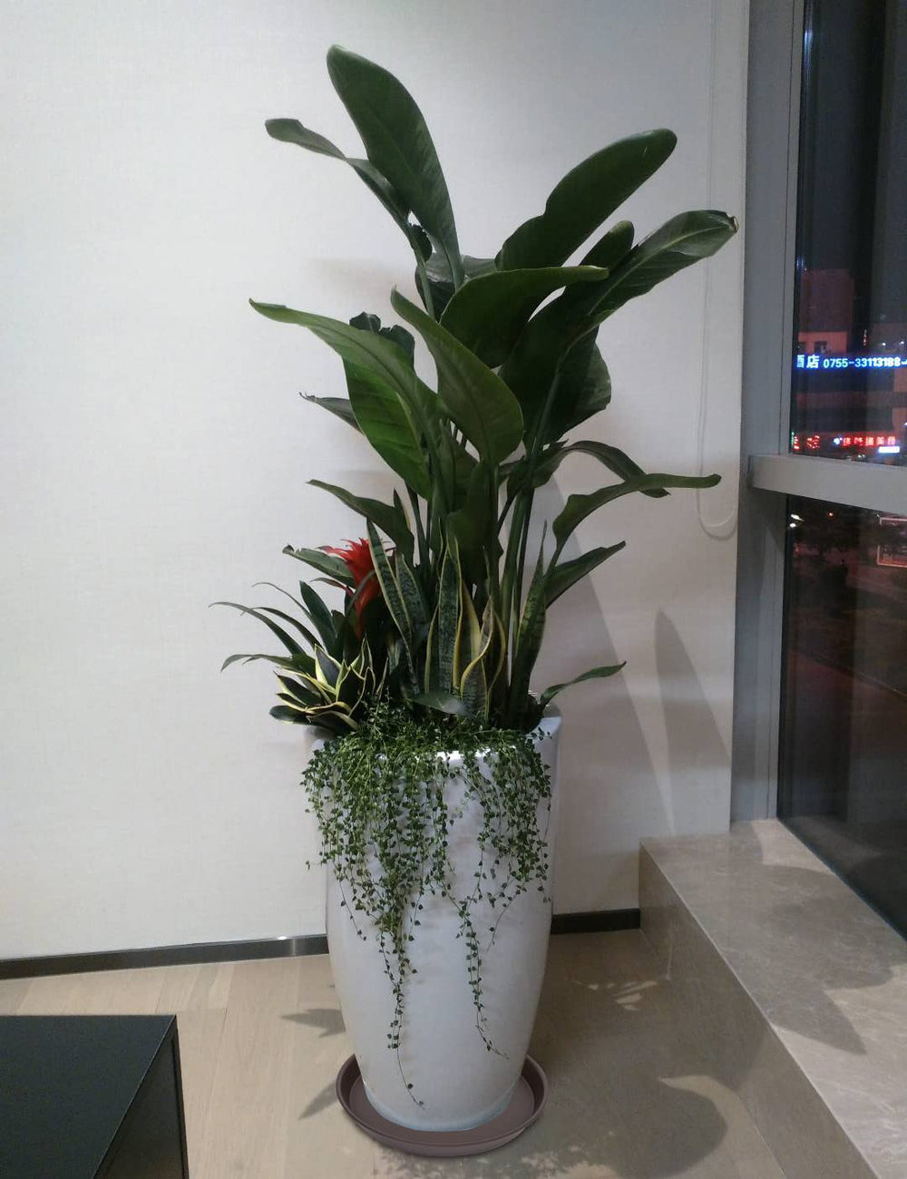 Bleuhome heavy-duty plant saucers side view