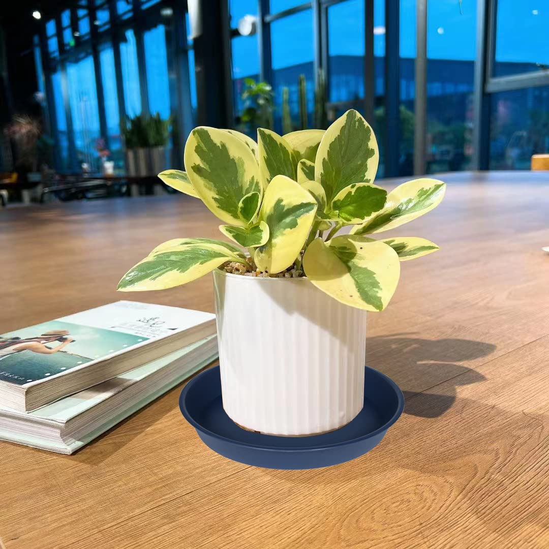 Bleuhome packaging for 21 inch plant saucer