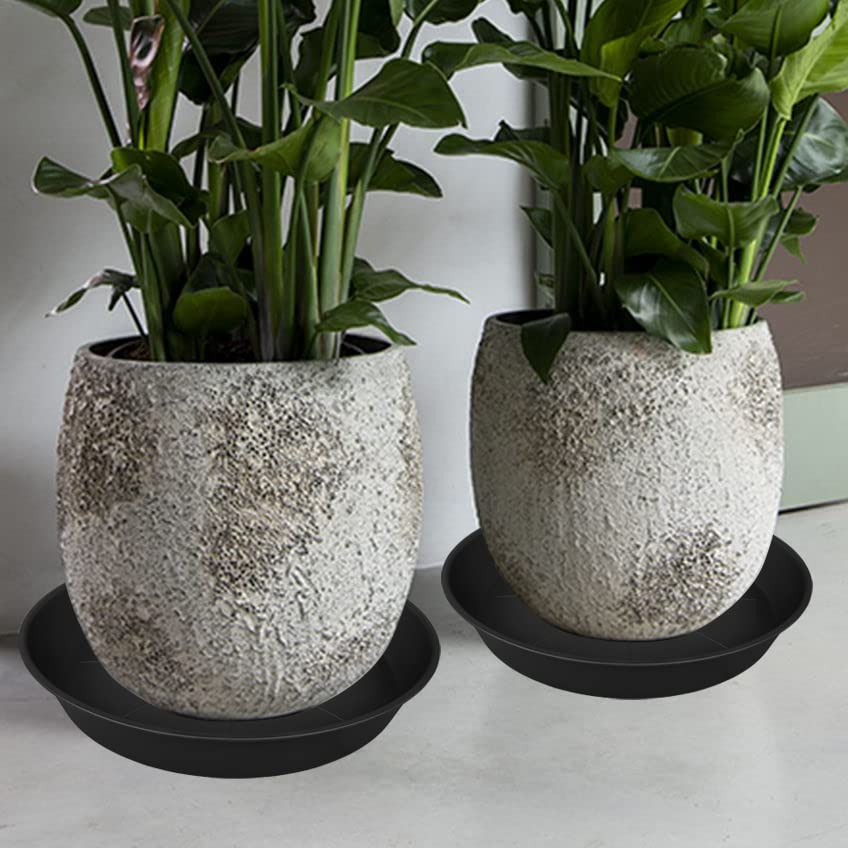 Bleuhome packaging for 22-inch plant saucers