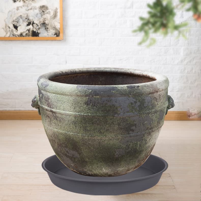 Bleuhome Plant Saucer 26 Inch used as a bird bath