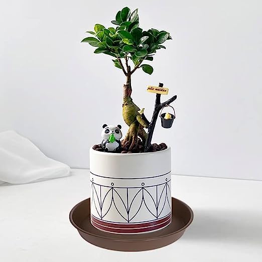 Bleuhome plant saucer 4.5 inch chocolate with plant