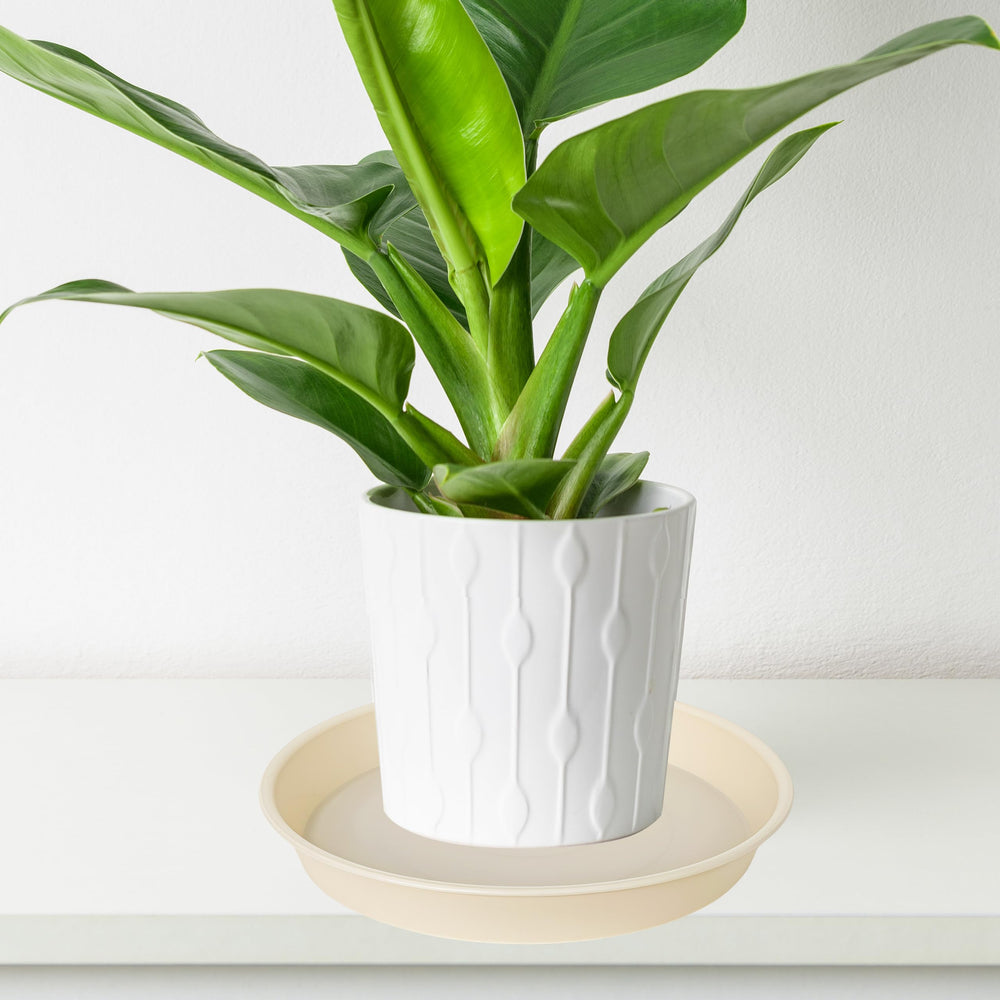 Bleuhome plant saucer beige with flowers