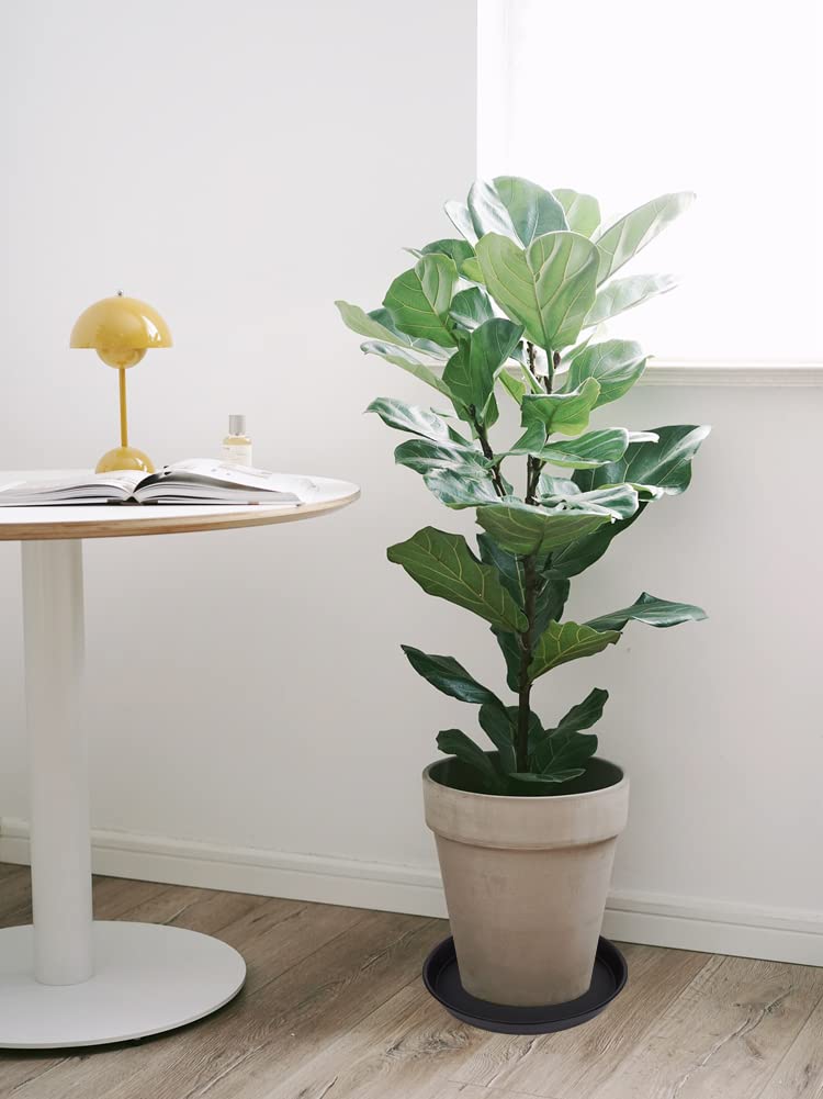 Bleuhome plant saucer being placed under a potted plant