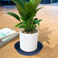 Bleuhome plant saucer blue on patio with flowers