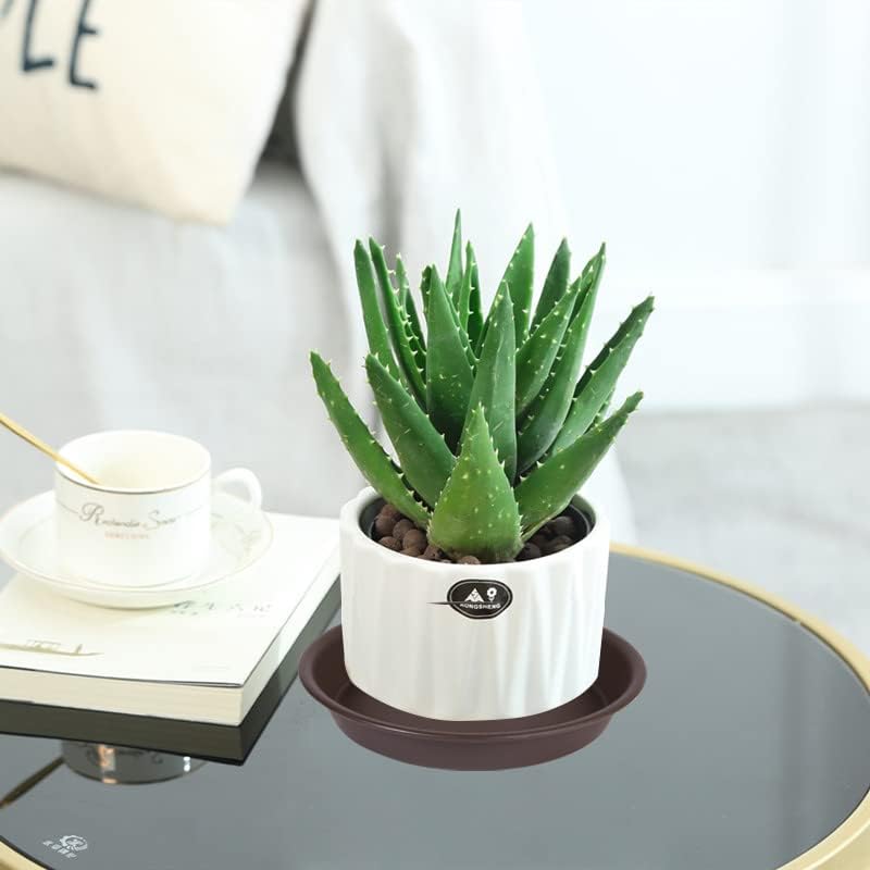 Bleuhome plant saucer displaying its matte finish