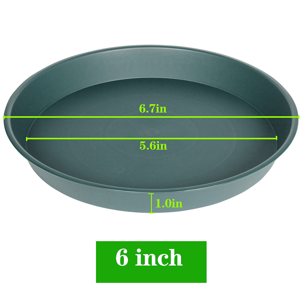Bleuhome plant saucer in green with a flower pot