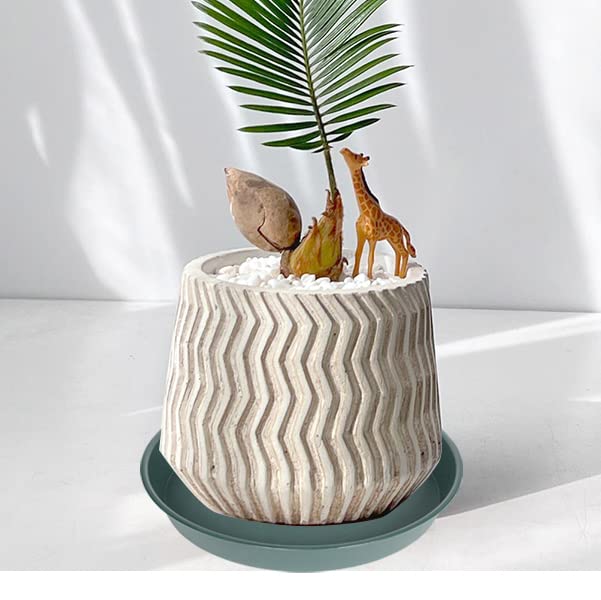 Bleuhome plant saucer in outdoor garden setting