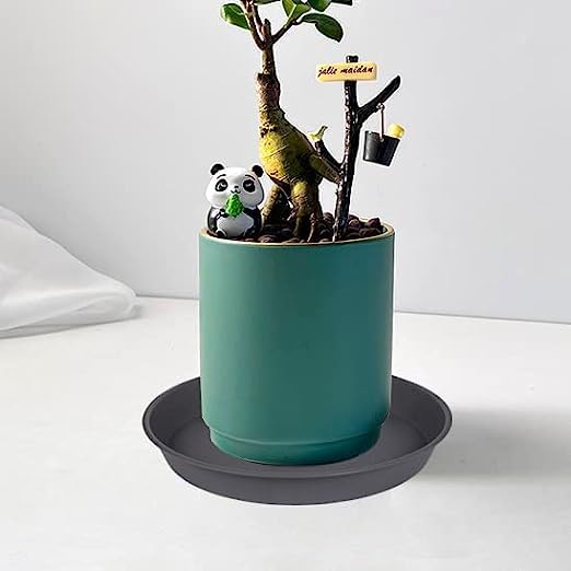 Bleuhome plant saucer in use under potted plant