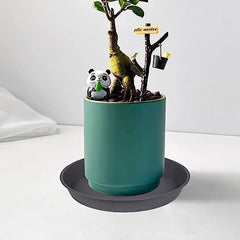 Bleuhome plant saucer in use under potted plant