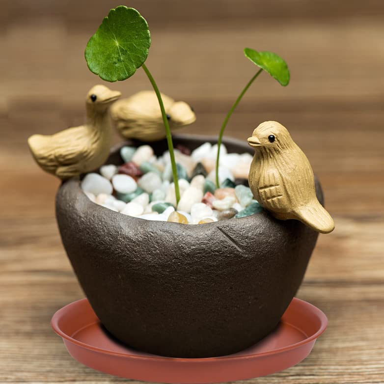 Bleuhome plant saucer next to potted plant