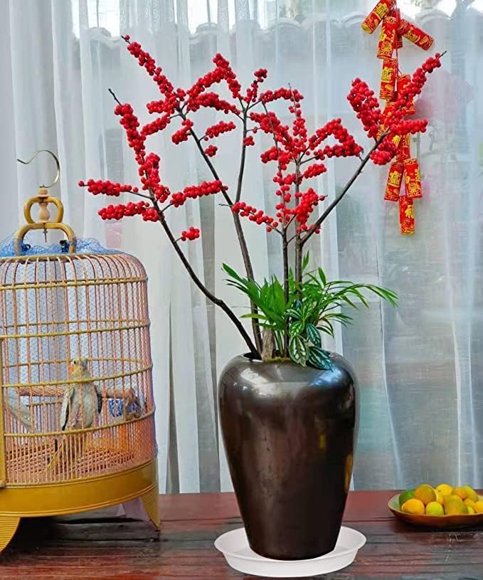 Bleuhome plant saucer on a patio with outdoor plants