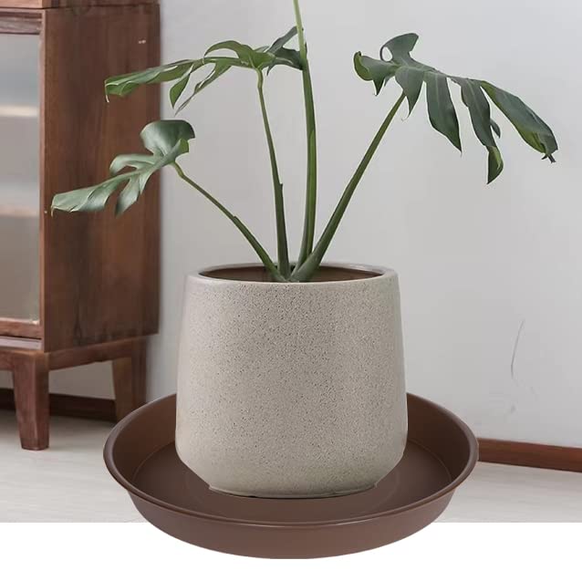 Bleuhome plant saucer on a wooden table with a potted plant