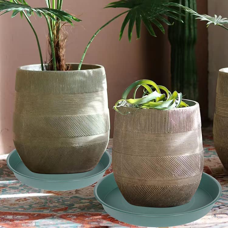 Bleuhome plant saucer packaging display