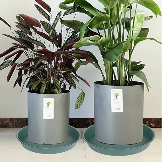 Bleuhome plant saucer showing matte finish