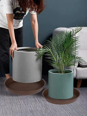Bleuhome plant saucer showing water overflow containment