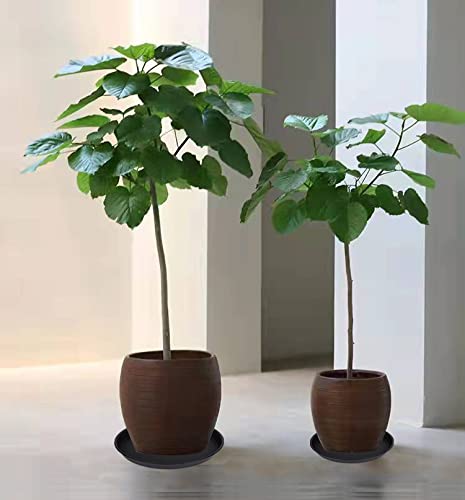 Bleuhome plant saucer side view showing thickness