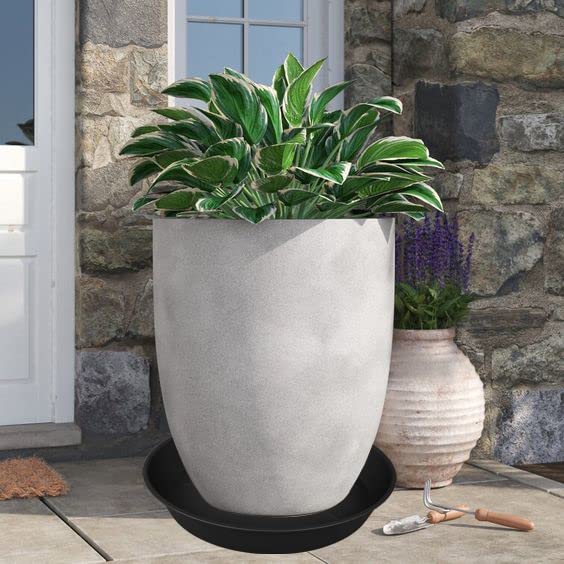 Bleuhome plant saucer under a potted plant