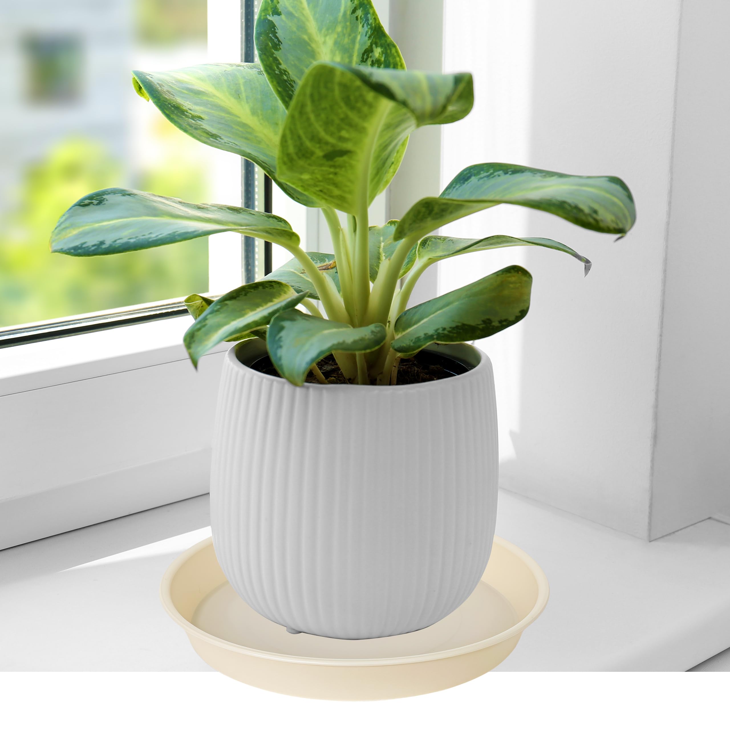 Bleuhome plant saucer used as a bird bath