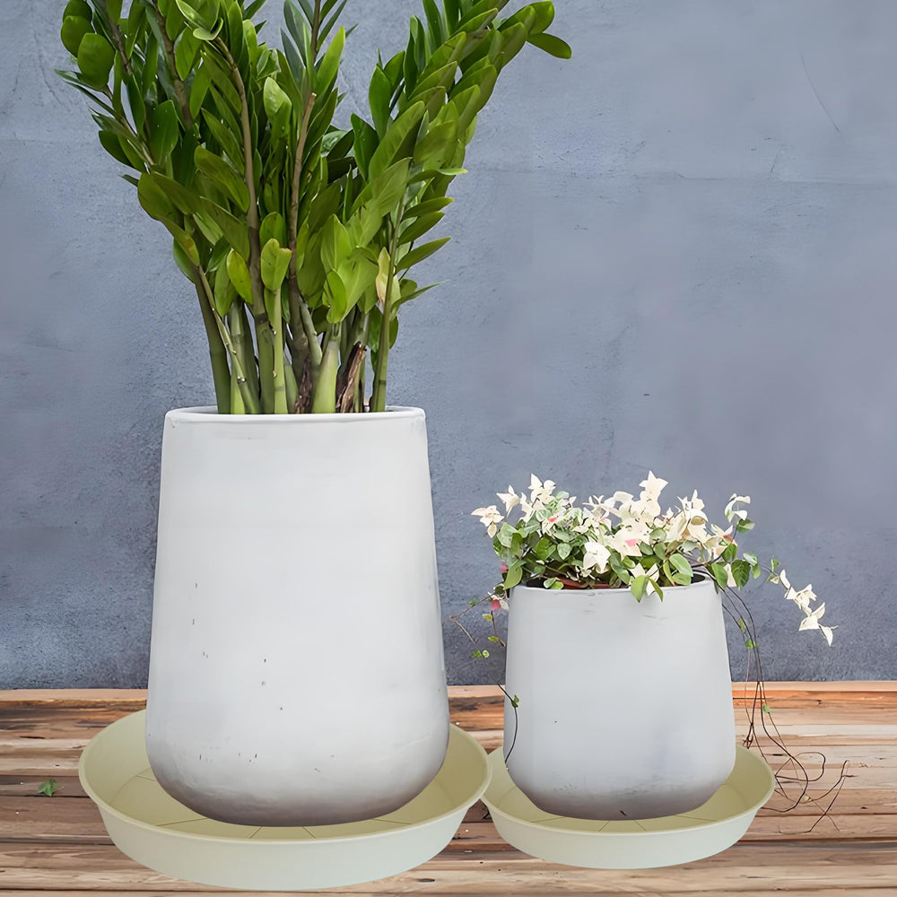 Bleuhome plant saucer used as a bird bath