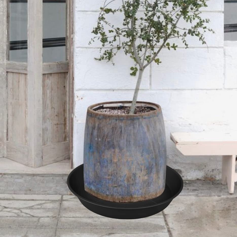 Bleuhome plant saucer used as a bird bath