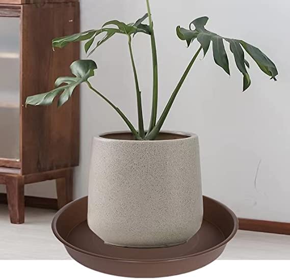 Bleuhome plant saucer used as a bird bath in a garden