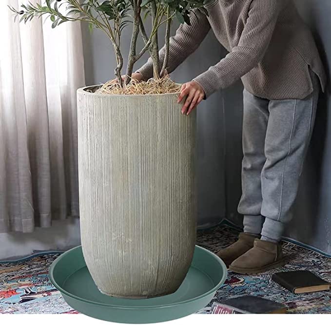 Bleuhome plant saucer used as a bird bath outdoors