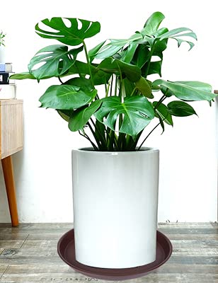 Bleuhome plant saucer with flower pot