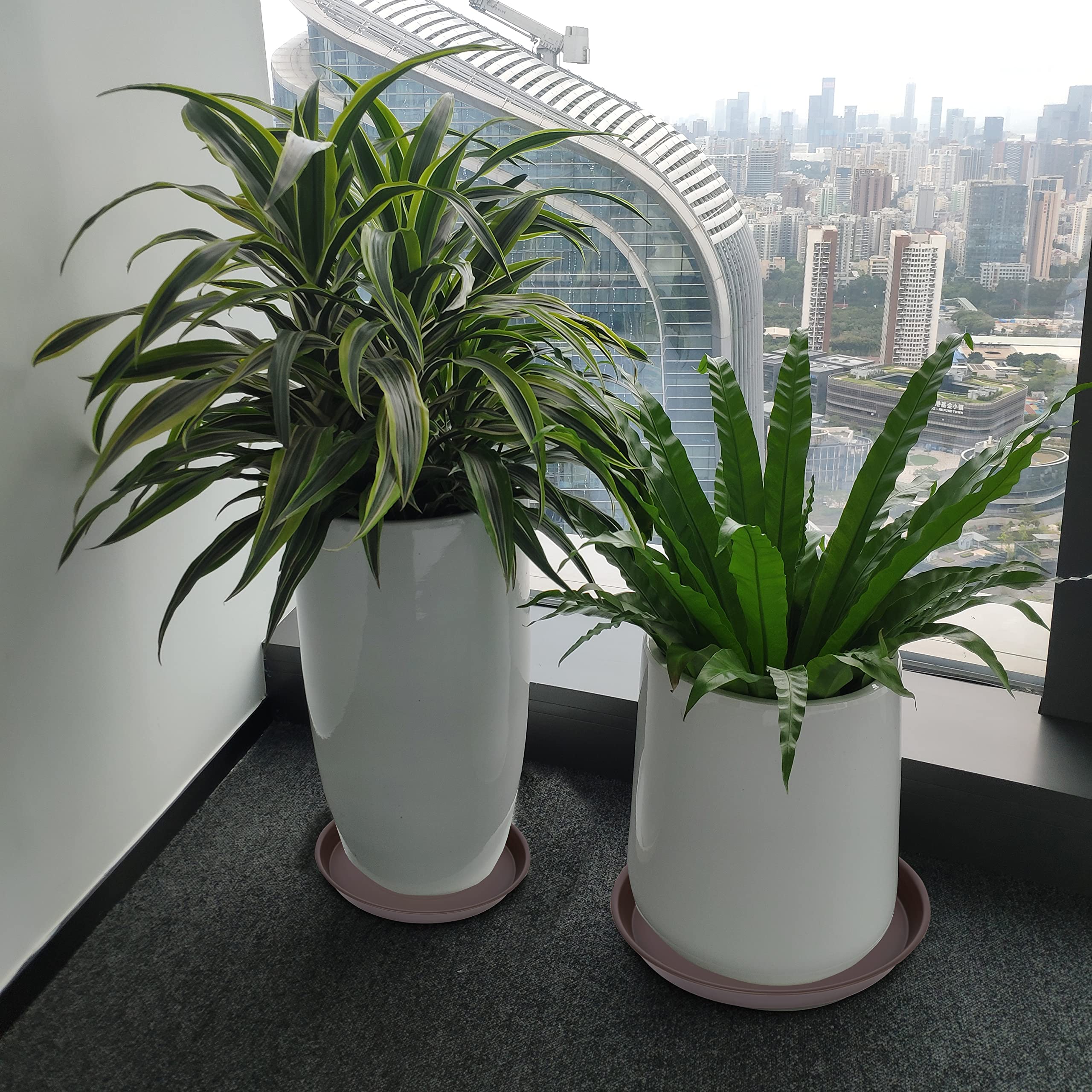 Bleuhome plant saucer with potted plant