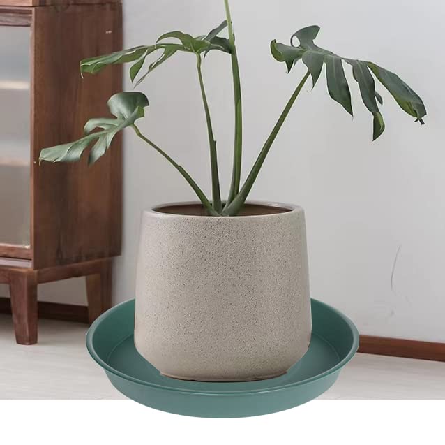 Bleuhome plant saucer with potted plant inside