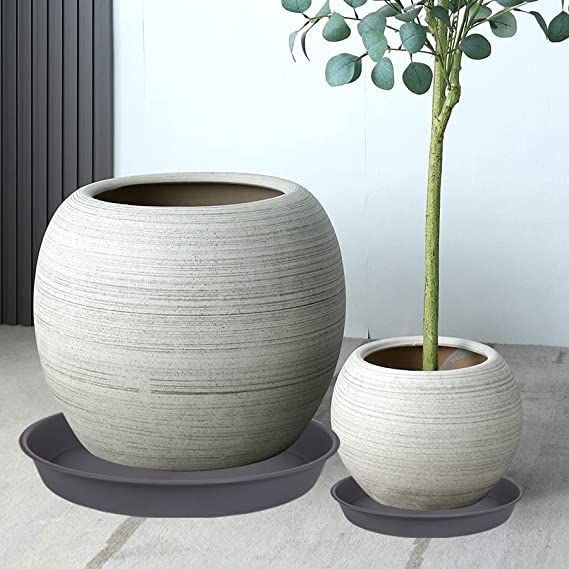Bleuhome plant saucer with potted plant on a patio