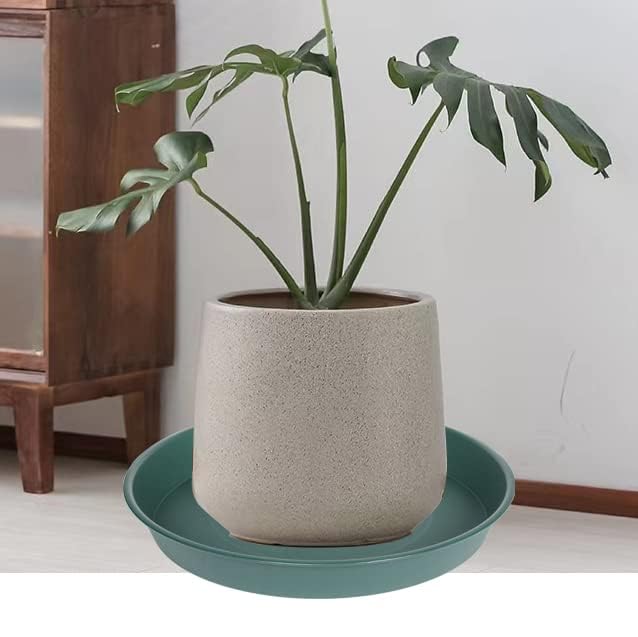 Bleuhome plant saucer with water overflow