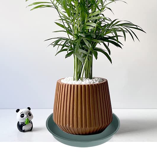 Bleuhome plant saucer with water overflow from a potted plant