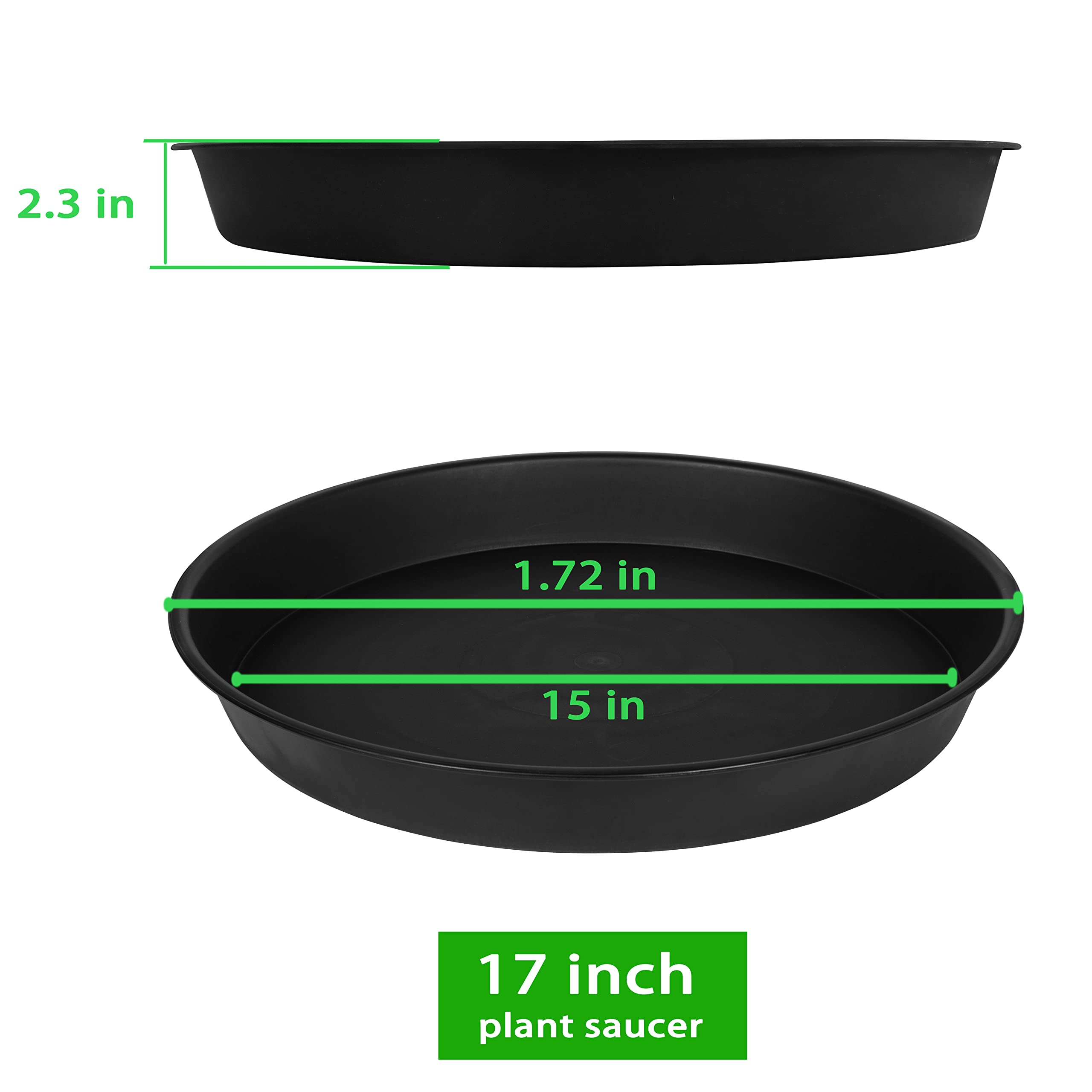 Bleuhome saucers displayed outdoors with plants