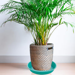 Bleuhome set of two 21-inch plant saucers stacked