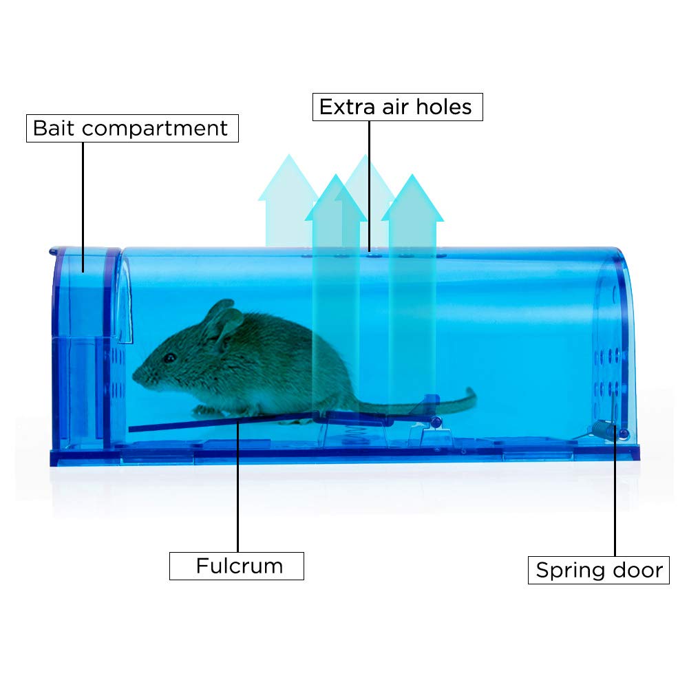 blinc humane mouse trap in kitchen setting